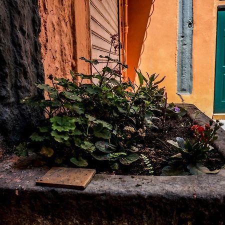 Little House Napoli Apartment Exterior photo