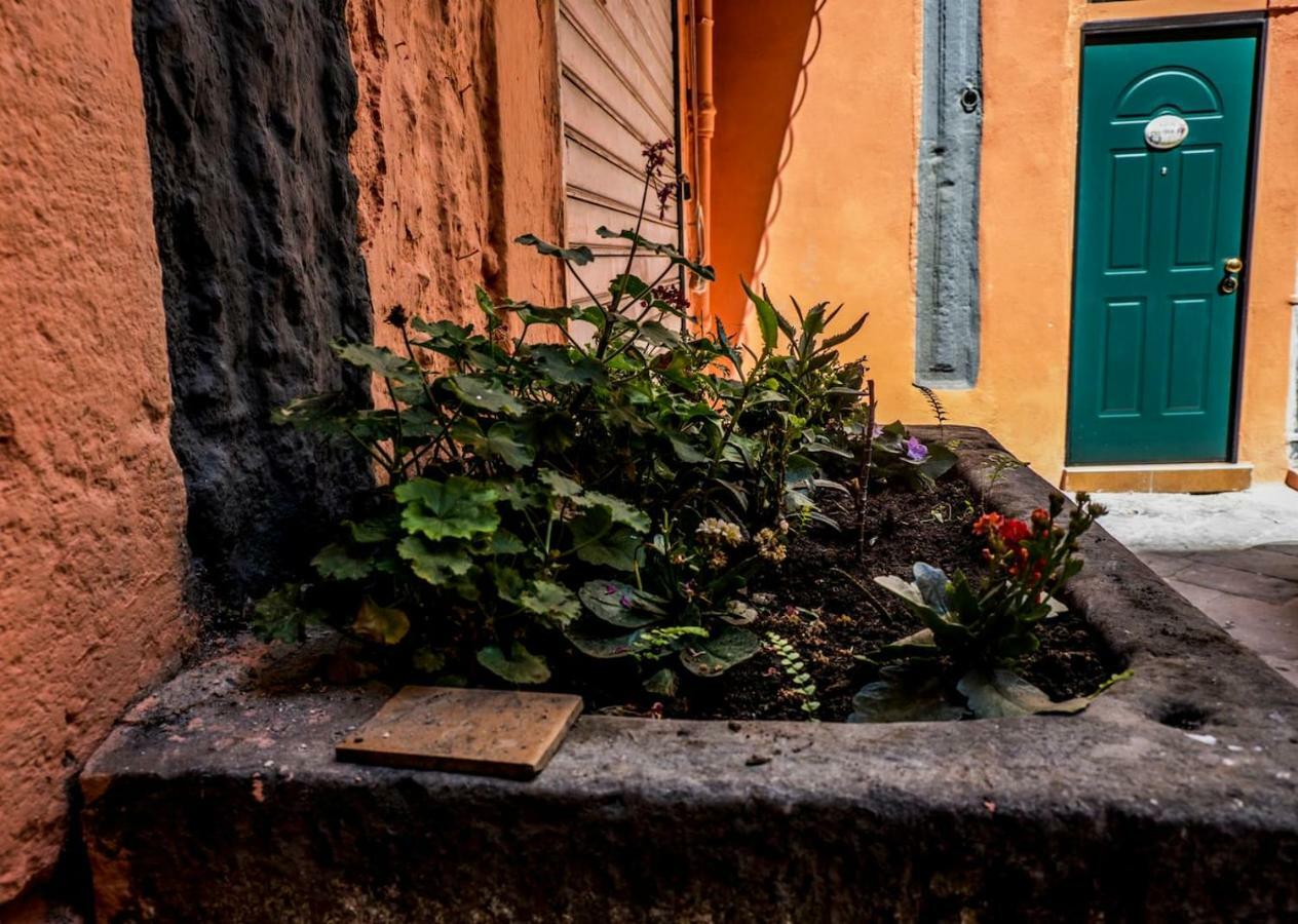 Little House Napoli Apartment Exterior photo